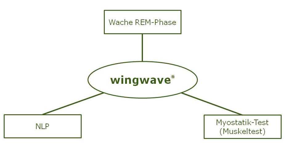 wingwave - DOROFIT Mental Coaching